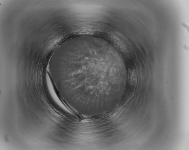 X0000097300692200802221336
