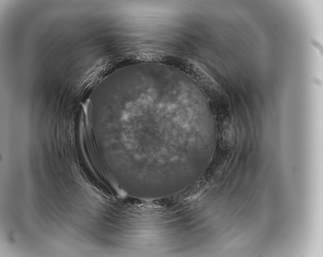 X0000097300696200802221336