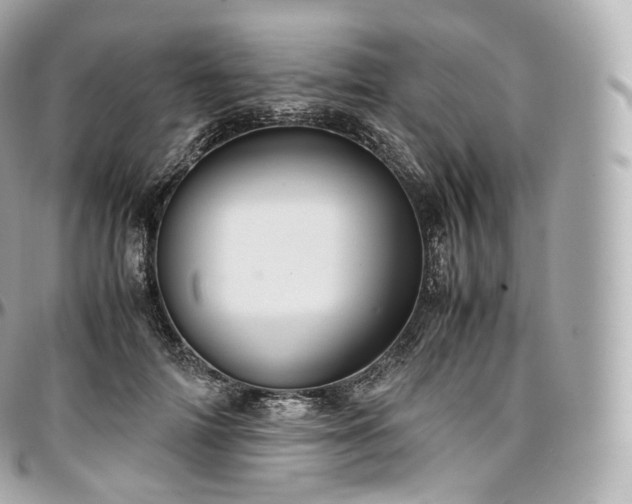 X0000097300698200802221336