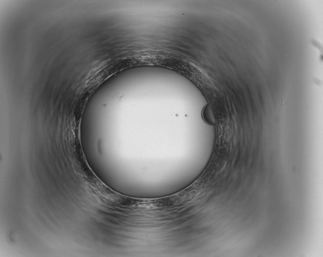 X0000097300702200802221336