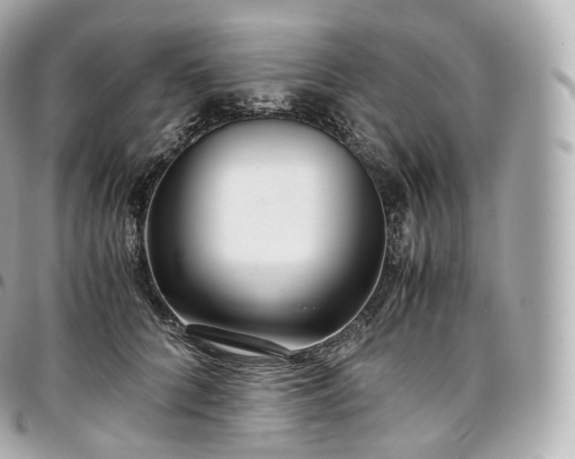 X0000097300704200802221336