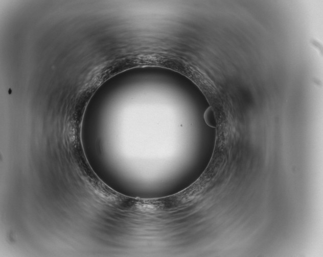 X0000097300706200802221336
