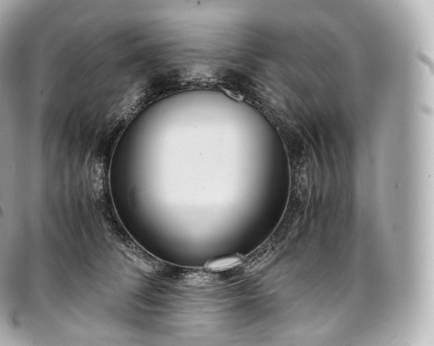 X0000097300708200802221336