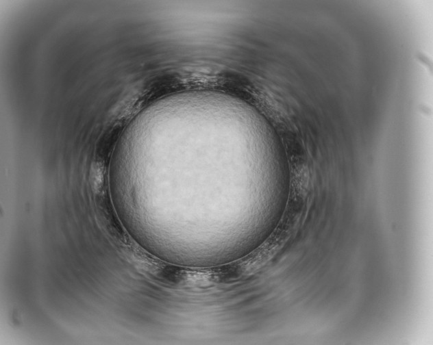 X0000097300709200802221336