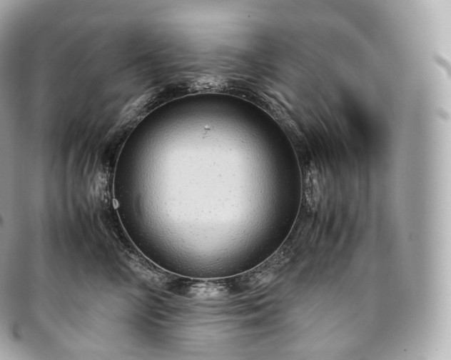 X0000097300714200802221336