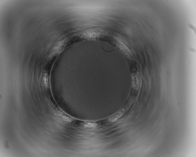 X0000097300718200802221335