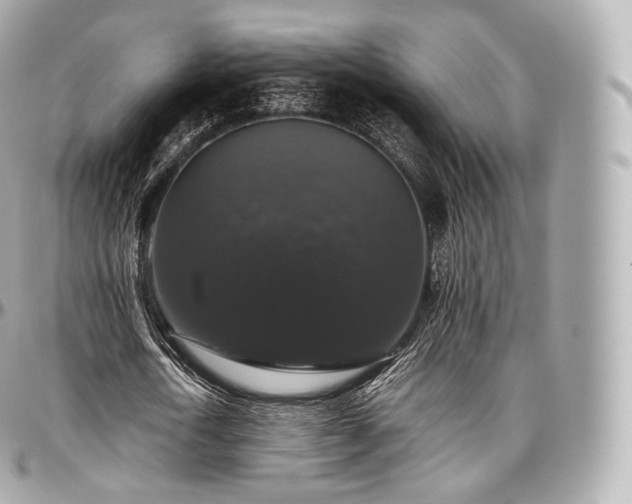 X0000097300722200802221335