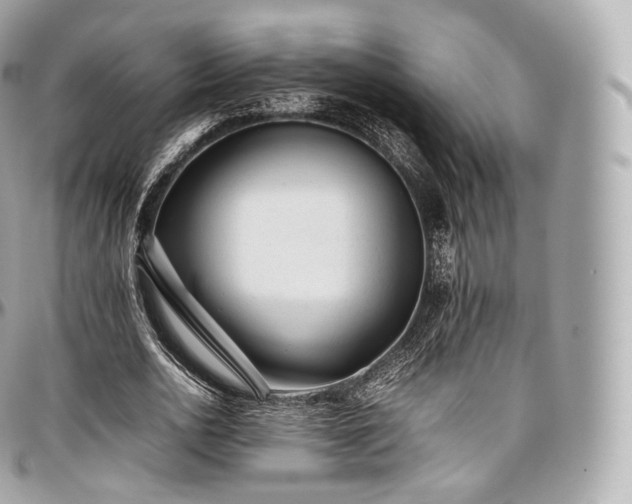 X0000097300726200802221335