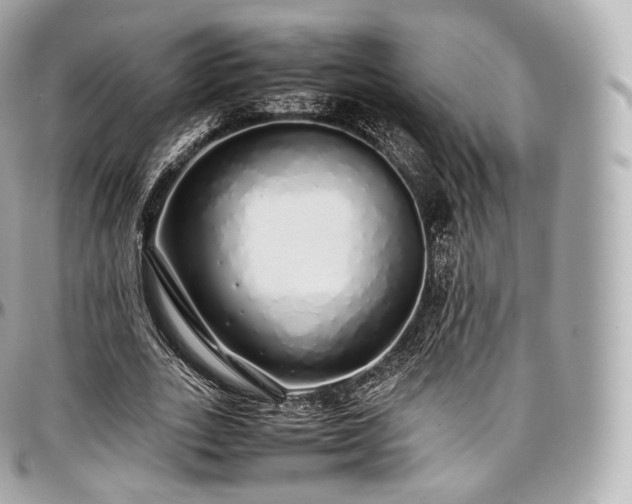 X0000097300727200802221335