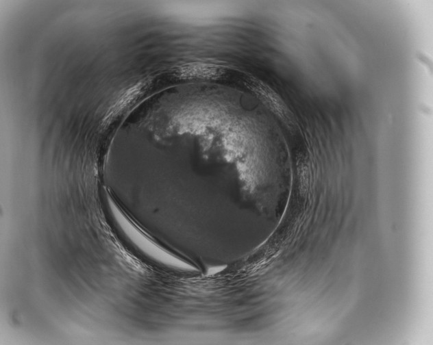 X0000097300729200802221335