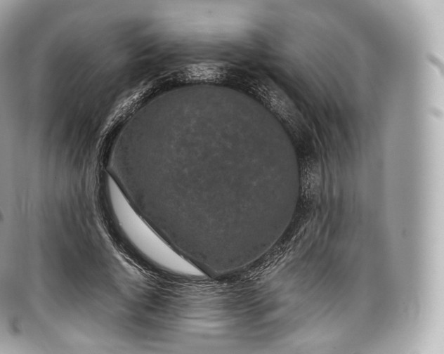 X0000097300736200802221335