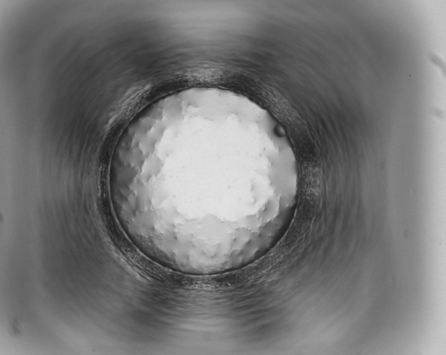 X0000097300738200802221335