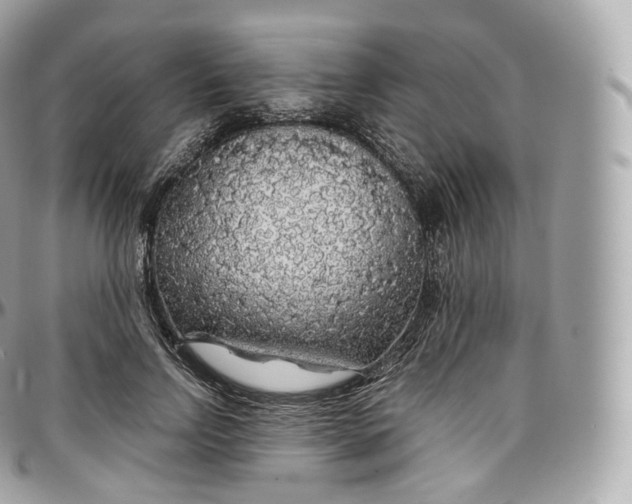 X0000097300742200802221335