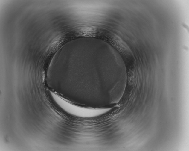 X0000097300748200802221335