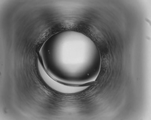 X0000097300750200802221335