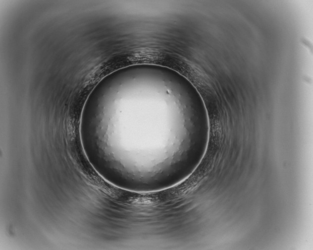 X0000097300751200802221335