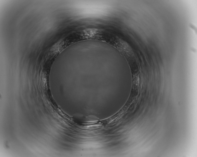 X0000097300754200802221335