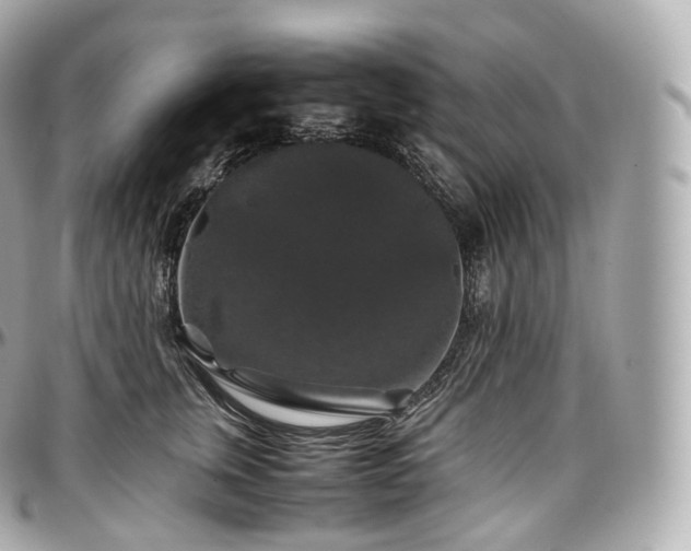 X0000097300759200802221335