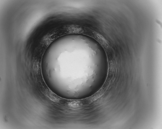 X0000097300761200802221335