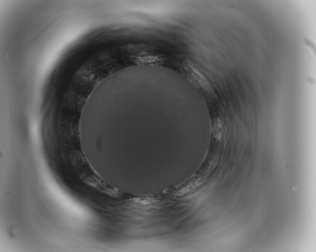 X0000097300763200802221335