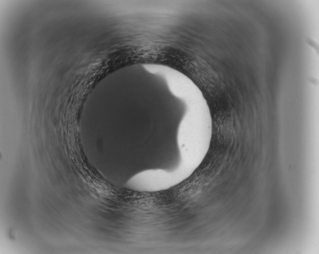 X0000097300769200802221335