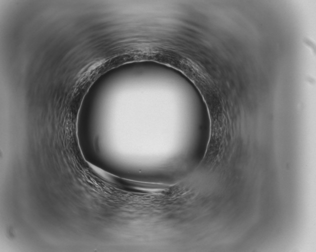X0000097300773200802221335