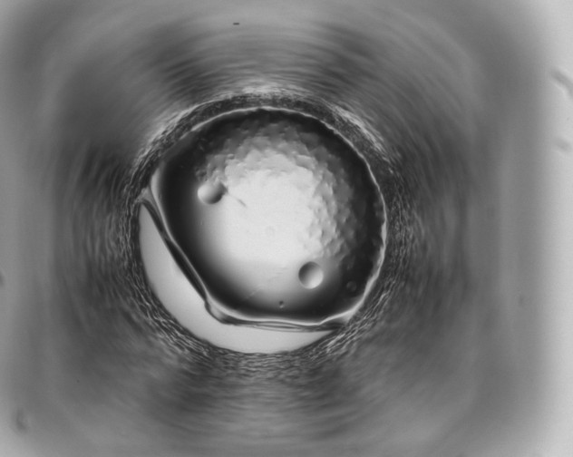 X0000097300776200802221335