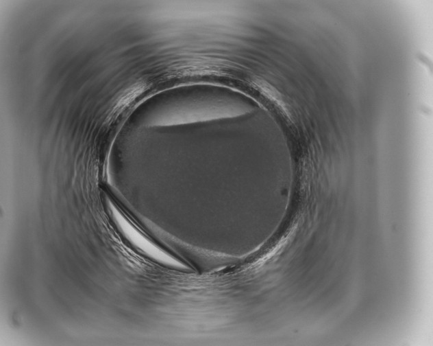 X0000097300777200802221335