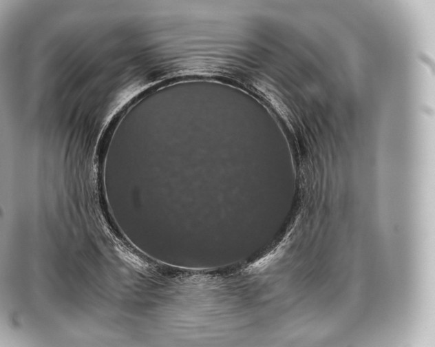 X0000097300779200802221335