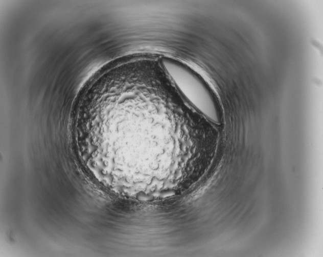X0000097300783200802221334