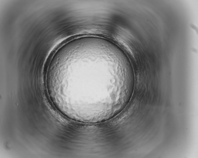 X0000097300784200802221334