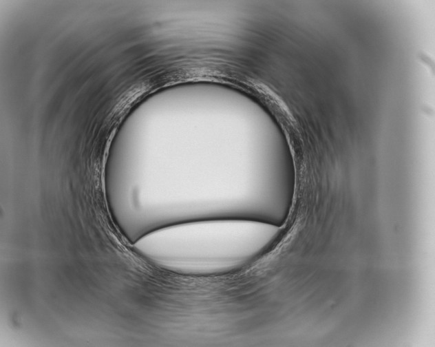 X0000097300785200802221334