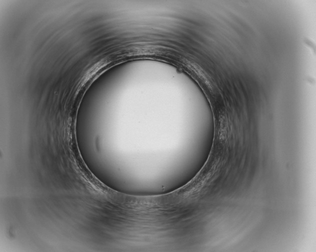 X0000097300786200802221334