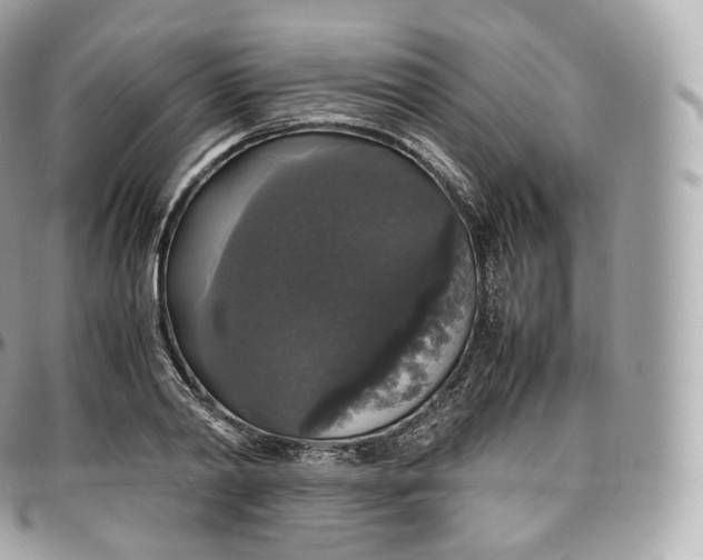 X0000097300790200802221334