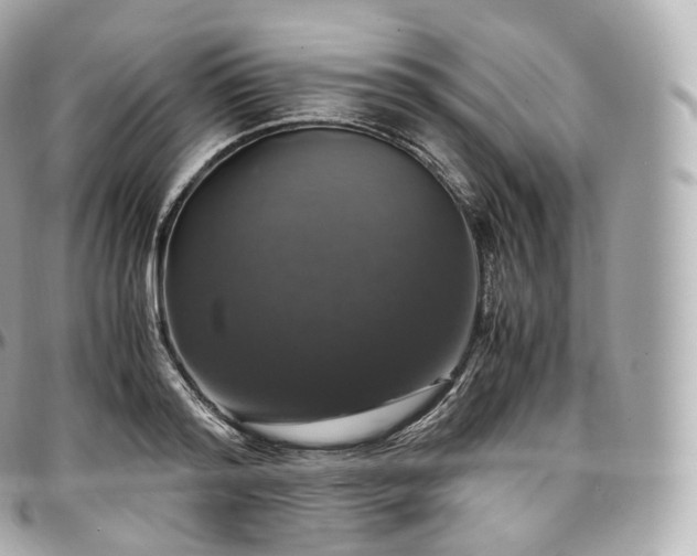 X0000097300796200802221334