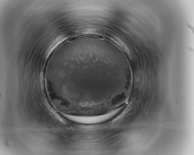 X0000097300798200802221334
