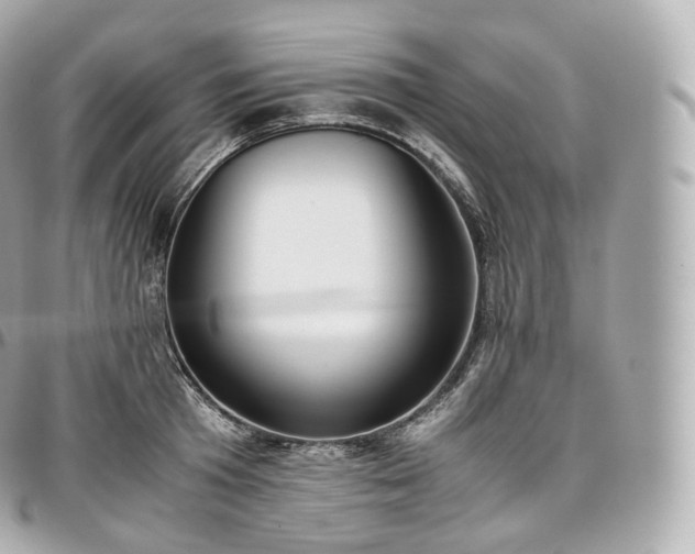 X0000097300801200802221334