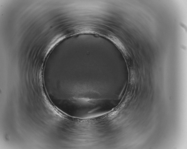 X0000097300806200802221334