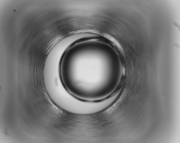 X0000097300809200802221334