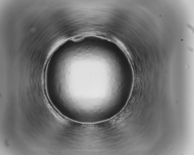X0000097300811200802221334