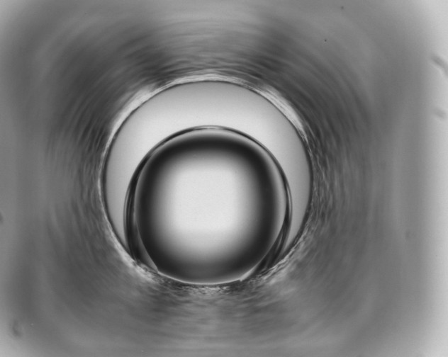 X0000097300813200802221334