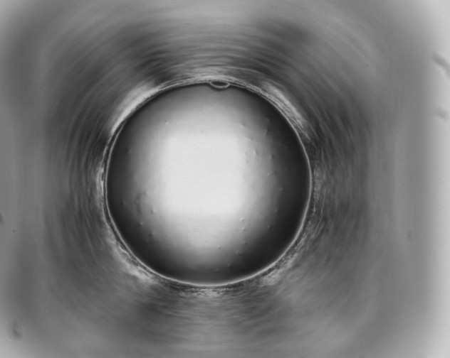 X0000097300814200802221334