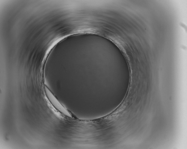 X0000097300816200802221334