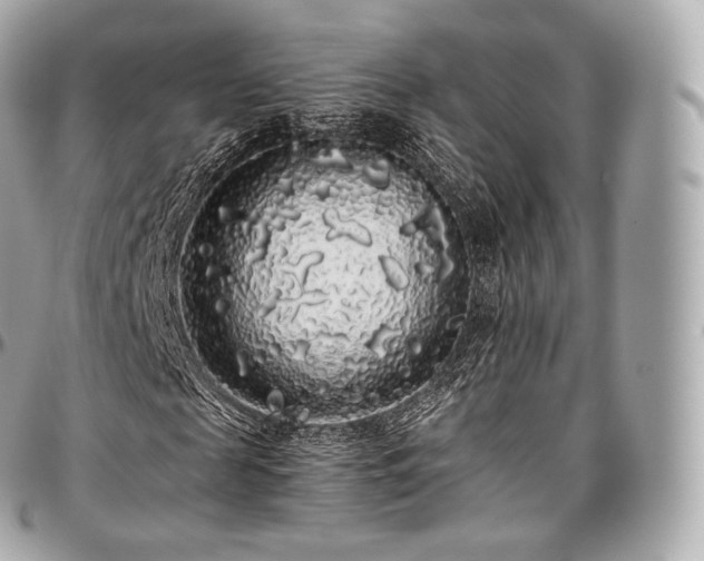 X0000097300817200802221333