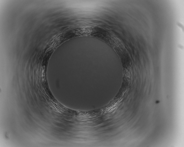 X0000097300818200802221333