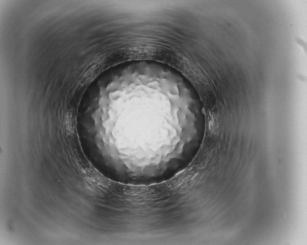 X0000097300819200802221333