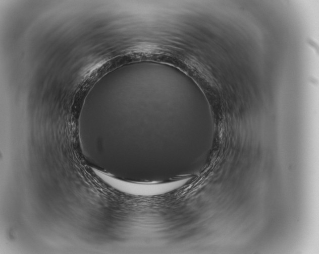 X0000097300822200802221333