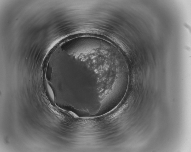 X0000097300830200802221333