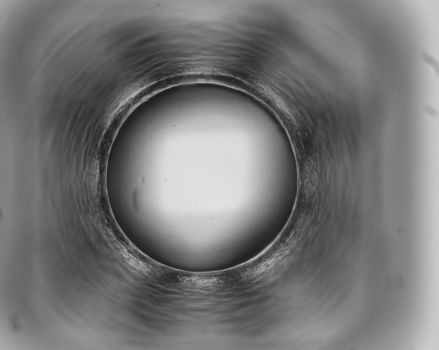 X0000097300831200802221333