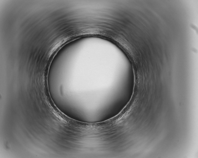 X0000097300834200802221333